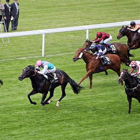 sportlife horse racing results|racing post results.
